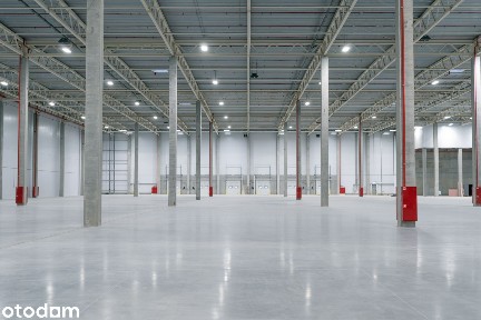 Nowoczesna hala magazynowa - 14 087 m², Legnica | Bez prowizji