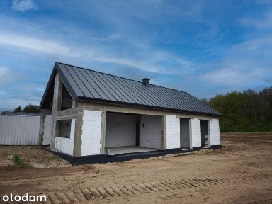 Stare Bielice Platanowa, Koszalin, zachodniopomorskie