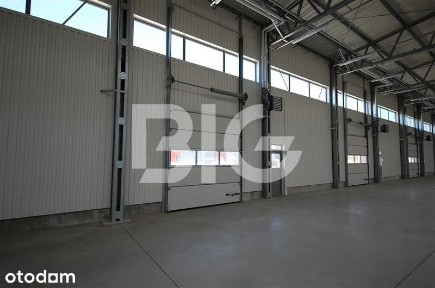 Nowy magazyn, hala produkcyjna Gdańsk