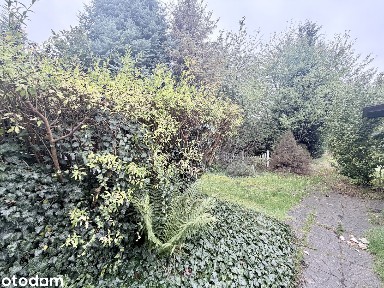 Wolnostojący dom z garażem w Zabrzu