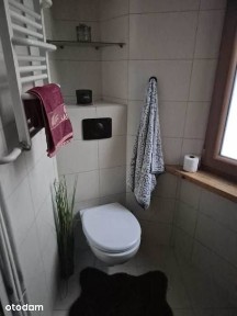 Przestronna kawalerka w centrum miasta pow.44,5 m2. Całość 2300 zł.
