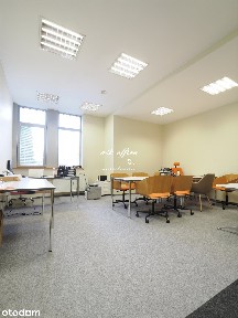 Lokal na wynajem, Wrocław