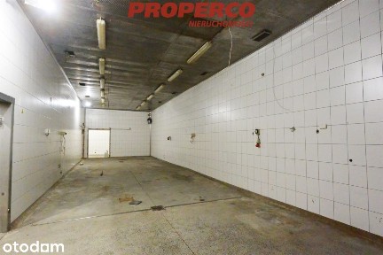 Hala ok 1650 m2 + plac 3000 m2, Piekoszów