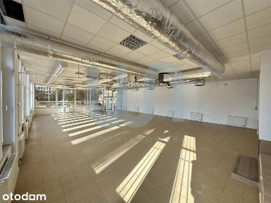 Duży lokal w centrum
