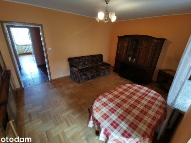 Centrum Marek przy urzędzie miasta
