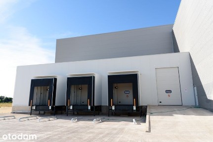 Magazyn na wynajem - 5 000 m², Nadarzyn | 0% prowizji