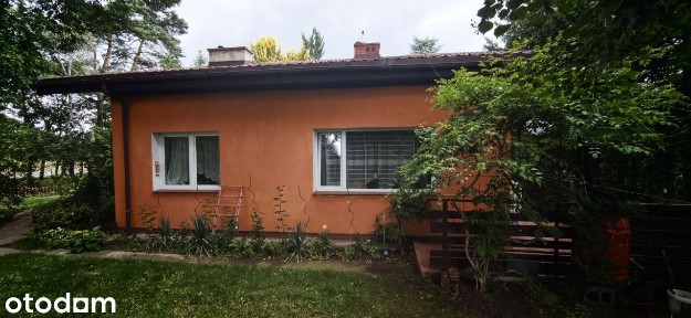 Dom z ładnie zagospodarowaną działką