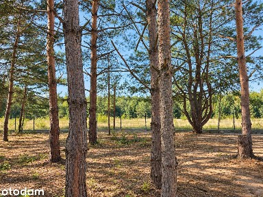 Ostatni dom wśród sosen | Ogródek 330 m² | Pod klucz