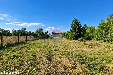 Dom 137 m² z działką 2500 m² i potencjałem