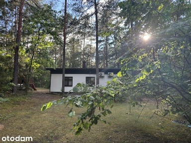 Działka (2520m²) z dwoma domami (75+27m²) -Osiedle Wilga,las sosnowy
