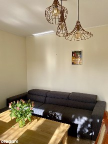 3-pokojowe mieszkanie 53 m²| ul. Michałowska | Blisko Solacz i PST