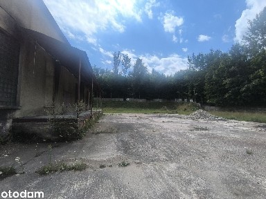 Wyjątkowa działka inwestycyjna 0,72 ha + hala