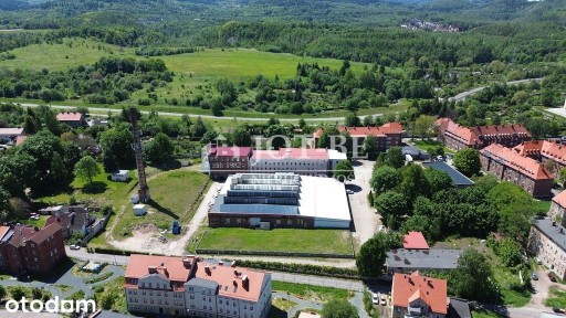 Budynek mieszkalno - biurowy.