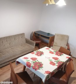 Mieszkanie od zaraz, cena do negocjacji.