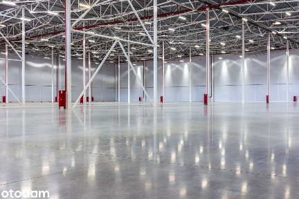 Nowoczesna hala magazynowa - 11 755 m², Sulechów | Bez prowizji