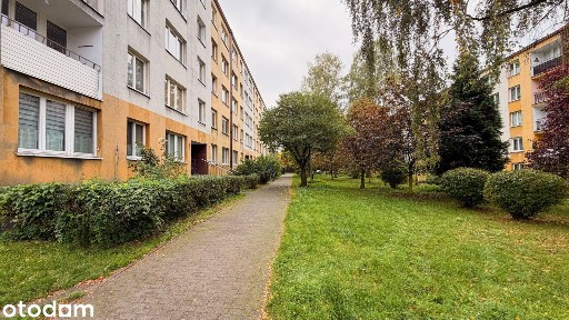 TOP Lokalizacja 3 pokoje - Katowice ul. Jabłoniowa - obok SCC i WPKiW