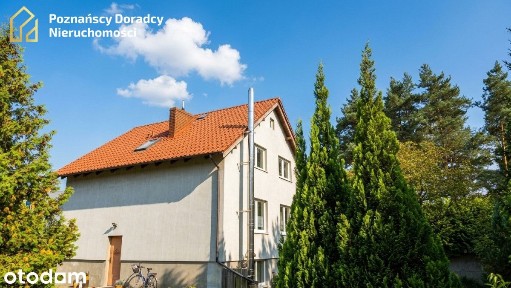 Umultowska, Umultowo, Stare Miasto, Poznań, wielkopolskie
