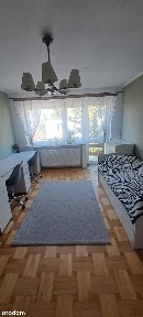 Przestronne mieszkanie z ogrodem w Wrocławiu bezczynszowe