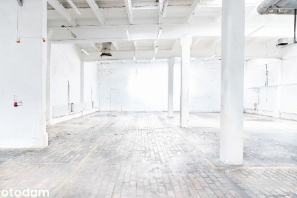 NOWOCZESNE HALA DO WYNAJĘCIA - 240m², 891 m², 2000m²