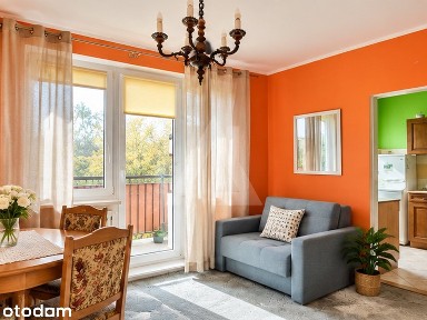 Mieszkanie na wynajem, Bydgoszcz, 1 pokój