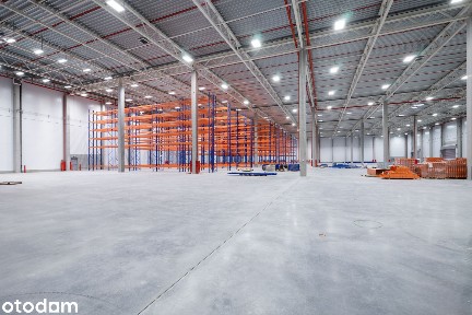 Magazyn na wynajem - 5000 m², Pruszcz Gdański | 0% prowizji