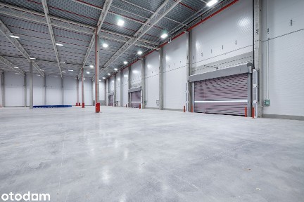 Magazyn na wynajem - 3000 m², Pruszcz Gdański | 0% prowizji