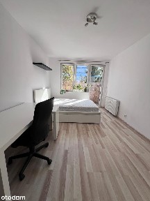 2 pokoje z osobną widną kuchnią - odnowione - Jeżyce ul. Poznańska