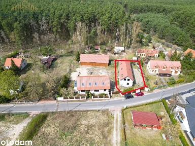 Wilcze, Wolsztyn, wolsztyński, wielkopolskie