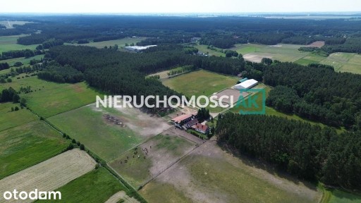 Stadnina + Pensjonat dla Koni