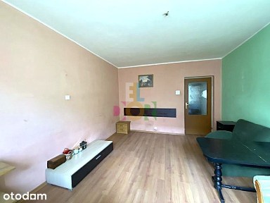 Koziny, Polesie, Łódź, łódzkie