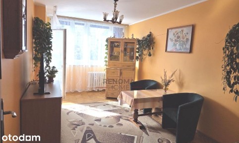 Osiedle Młodych/3 pokoje/ topowa lokalizacja