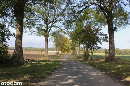 Dom 3 pokoje + działki
