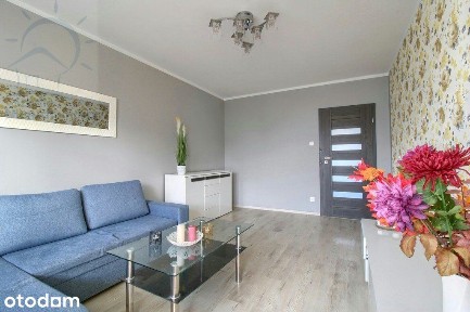 Mieszkanie, 55 m², Toruń
