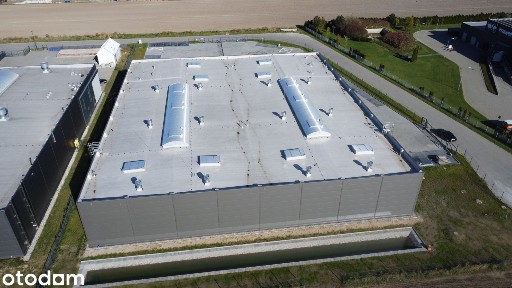 KOWALE - wynajme | sprzedam BEZPOŚREDNIO - od 300m do 2700m