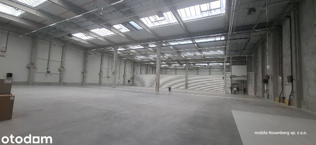 BEZPOŚRDNIO wynajmę | sprzedam ELBLĄG - od 300m do 3600m