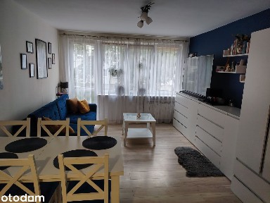 Mieszkanie 2 pok.- centrum- umeblowane- bezpośrednio