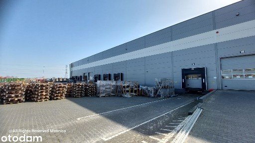 MAGAZYN wynajme Dawidy Bankowe - od 300m do 23.899m