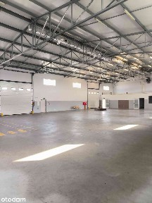 HALA BIUROWO MAGAZYNOWA 700 m² | WOLICA | S8 / S7 | Bezpośrednio