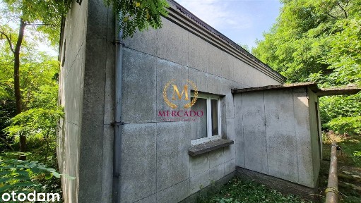 Dom 106m2 do remontu na dużej działce ponad 8600m2