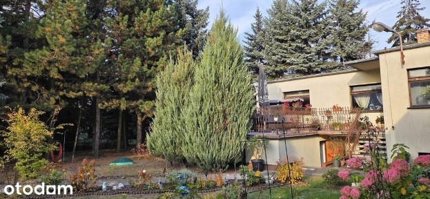 DOM Z WARSZTATEM NA DUŻEJ DZIAŁCE 2435m2