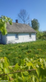 Dom we Wsi Osiny z duża działka 14 arów Lubelskie