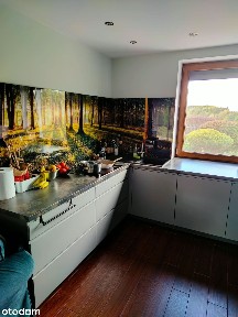 Przestronny dom z basenem + garaż z budynkiem gospodarczym.