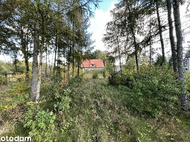 Dom w Piastowie do własnej aranżacji, działka 5000 m2, ul. Diamentowa