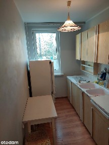3 pokojowe mieszkanie z balkonem w Pasłęku, 1 pietro ul.Ogrodowa
