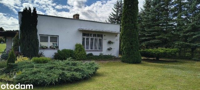 Dom wolnostojący sauna, jezioro, lasy, db. dojazd; Orliczko gm. Pniewy