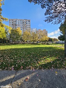 Sprzedam Mieszkanie 3-pokojowe Leszno