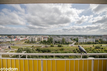 Mieszkanie 6-pokojowe - Do wynajmu lub zamieszkania