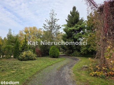 Dom z dużą dziłką na sprzedaż - Kuraszków