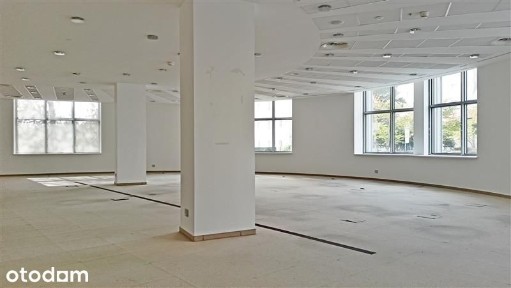 Lokal biurowo-usługowy w centrum Gdyni