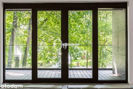 Winda bezpośrednio do biura | Loggia